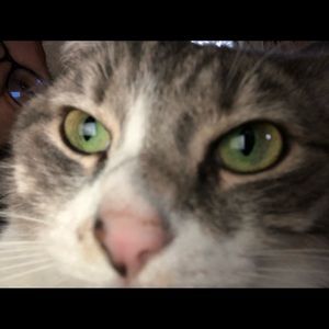 Meet your Posher, Gg